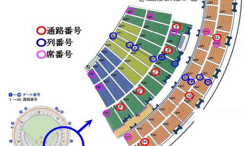 白内障诊断依据是什么-权威医院白内障诊断书模板平台,分享专业白内障诊断书图片知识_白内障病人诊断怎么写网