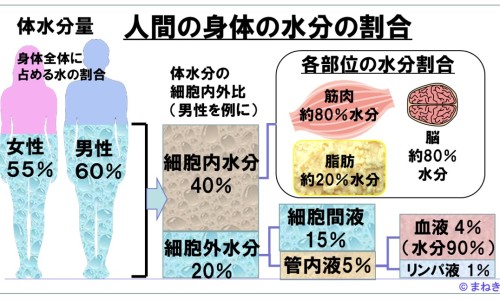 白内障的诊断-权威医院白内障诊断书模板平台,分享专业白内障诊断书图片知识_白内障病人诊断怎么写网